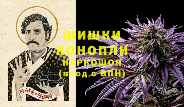 гидропоника Белокуриха