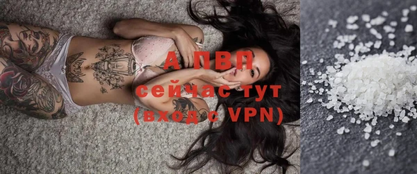 гидропоника Белокуриха