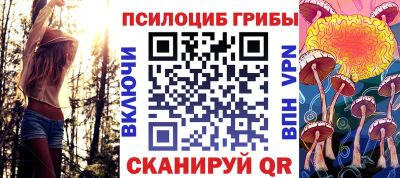 hydra ссылки Болхов Галлюциногенные грибы Cubensis